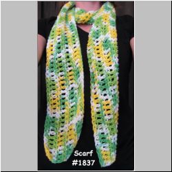 Scarf_1837.jpg